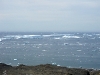 dsc09375.jpg